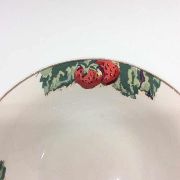 Vitromaster Fruit Tapestry Pattern 7 1/4' Soup or Cereal Bowl 1991 - Picture 3 of 7